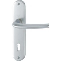 Poignée De Porte Sur Plaque Grise Entraxe 165 Mm Clé En En L San Diego X2 - Chainey - Tecnomat