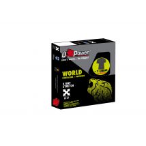 Box D'Été D'Équipement De Protection Gris T.xl World - Upower