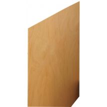 Panneau Contreplaqué Ép. 15 Mm 2500 X 1220 Mm