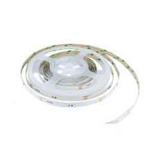 Ruban Led 24v Blanc Froid 5 M - Integral Led