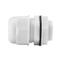 Presse Etoupe D25 Gris