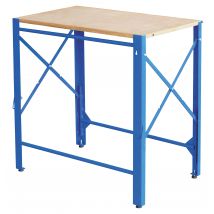 Établi Pliable 300 Kg - Denuziere