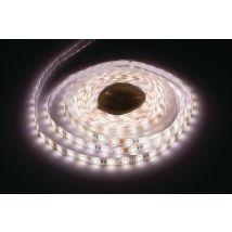 Ruban Led 24v Blanc Froid 5 M - Integral Led