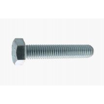 Vis Métaux Acier Zingué Diam. 8 X 60 Mm Boîte De 100 - Viswood - Bricoman
