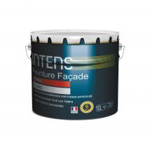 Peinture Façade Pliolite Blanc 10 L - Intens