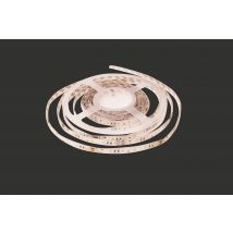 Ruban Led 24v Blanc Chaud 5 M - Integral Led