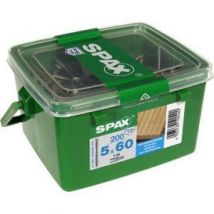 Vis Terrasse Inox A4 Diam. 6 X 60 Mm Boîte De 175 - Spax