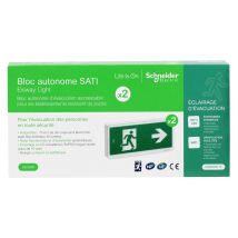 Lot De 2 Blocs Exiway Light Evac 42 Sati