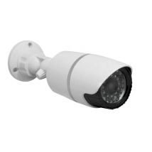 Caméra De Surveillance Factice À Piles Extérieur - Avidsen