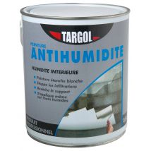 Peinture Antihumidité 2,5 L - Targol