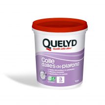 Colle Dalles De Plafond En Pâte 1 Kg - Quelyd - Bricoman