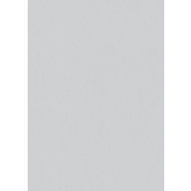 Toile De Verre Lisse Prépeint 130 G/m² L.1 X L.50 M G45pc - Tassoglas