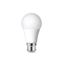 Ampoule Led B22 4000k - Zeiger