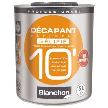 Décapant Gélifié 5 L Bâtiment 10' - Blanchon