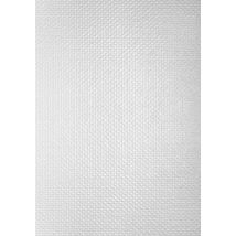 Toile De Verre Nattée 170g/m² L.1 X L.50 M G180n - Tassoglas