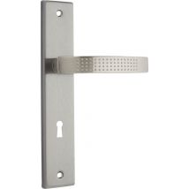 Poignée De Porte Sur Plaque Zinc Entraxe 195 Mm Clé En En L Lola X2 - Chainey