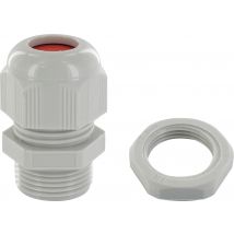 Lot De 10 Presse-étoupes Gris Diam.20 Mm - Bricoman