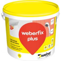 Colle Carrelage En Pâte Blanc D2et Pour Mur Intérieur 25kg - Weberfix Plus Weber
