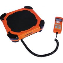 Balance De Charge 100kg Linstrument