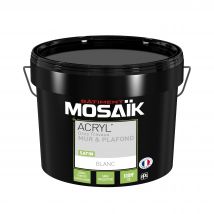 Peinture Intérieure Murs Et Plafonds Acrylique Gros Travaux Satin Blanc 10 L - Mosaïk
