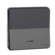 Interrupteur Poussoir Étanche Mureva - Schneider - Bricoman