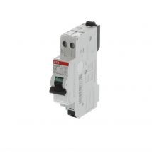 Disjoncteur Phase/neutre 2a 4,5ka Auto - Abb
