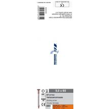 Vis Terrasse Inox A2 Diam. 5 X 60 Mm Boîte De 400 - Reisser