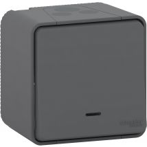 Interrupteur Va Et Vient Étanche Mureva - Schneider Electric - Bricoman