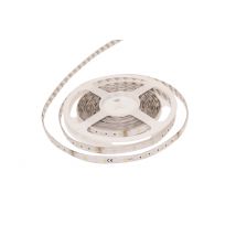 Ruban Led 24v Blanc Froid 5 M - Integral Led