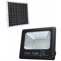 Projecteur Solaire 60w