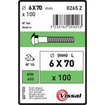 Vis Métaux Autoforeuse Acier Zingué Diam. 6 X 70 Mm Boîte De 100 - Viswood