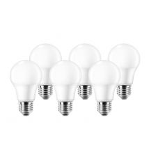 Ampoule E14 C35 Givre 470lm 4000k - Zeiger
