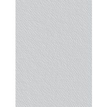 Toile De Verre Maille Crépi 165 G/m² L.1 X L.25 M G115n - Tassoglas