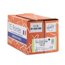Pointe Tête Extralarge Galva Diam.2,7xl.45 Mm Boite De 5kg