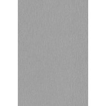 Bande De Chant Thermoplastique À Coller L.3000 X 43 Mm - Métal Brossé