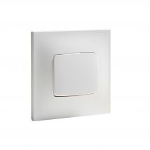 Interrupteur Poussoir Neptune - Legrand