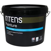 Peinture Intérieure Murs Et Plafonds Acrylique Mat Blanc 10 L - Intens
