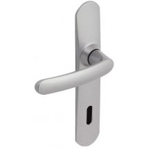 Ensemble Poignées De Porte Sur Plaque Entraxe 165 Mm Slim Zamak Chrome Satin Clé L - Vachette