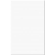 Faïence Blanc Uni L.25 X L.40 Cm