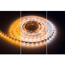 Ruban Led 24v 5 M - Integral Led