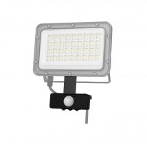 Détecteur Projecteurs Mod De 10w A 50w - Forlight