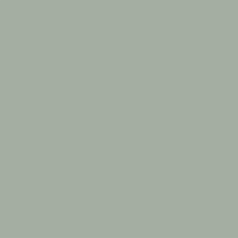 Peinture Intérieure Multi Support Acrylique Velours Vert Ficus 0,5 L Mosaline - Mosaik - Tecnomat