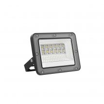 Projecteur Led Extérieur 10w - Forlight - Tecnomat