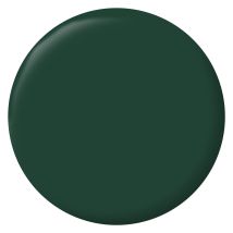 Peinture Intérieure Et Extérieure Multi-supports Glycéro Satin Vert Basque 2 L - Ripolin - Tecnomat