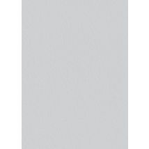 Voile De Verre Lisse 35 G/m² L.1 X L.25 M G45n - Tassoglas