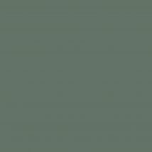 Peinture Pour Meuble Velours Vert Fougère 500 Ml - Eco Id