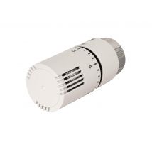 Tête Thermostatique M30x1.5 Delonghi