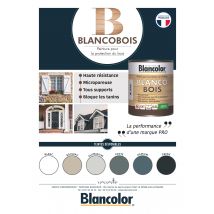 Peinture Bois Satin Gris Fonte 0,5 L - Blancolor