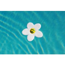 Absorbant De Surface - Water Lily - Toucan (boite De 6) - Tecnomat