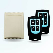 Module 4 Relais Avec Deux Télécommandes 4 Boutons Neo4 - Bricoman